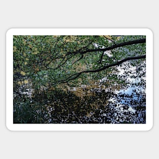 Impressionistic photography Sticker